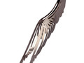 Щипцы Wings