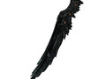 Щипцы ANGEL Black